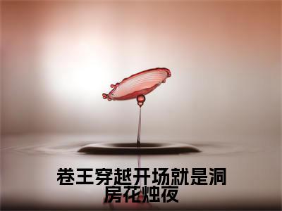 应潇潇顾承卷王穿越开场就是洞房花烛夜免费小说-卷王穿越开场就是洞房花烛夜（应潇潇顾承）已更新最新章节