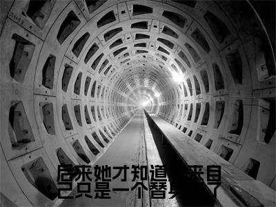 后来她才知道原来自己只是一个替身罢了小说好看吗-后来她才知道原来自己只是一个替身罢了凌语霜应景川热门小说大结局阅读