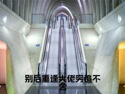 别后重逢大佬穷追不舍全文免费阅读-（陆景琛秦如烟）小说全文免费阅读正版无弹窗