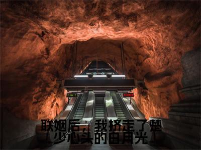楚璟夜姜槿颜（联姻后，我挤走了楚少心头的白月光）免费小说-联姻后，我挤走了楚少心头的白月光（楚璟夜姜槿颜）最新章节完整版阅读