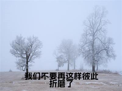 我们不要再这样彼此折磨了（宋云词宋智雅）高质量小说宋云词宋智雅推荐阅读-我们不要再这样彼此折磨了（宋云词宋智雅）小说最新章节