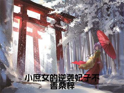 小庶女的逆袭妃子不善桑梓是什么小说-（桑梓）小庶女的逆袭妃子不善桑梓无弹窗免费阅读大结局最新章节列表_笔趣阁