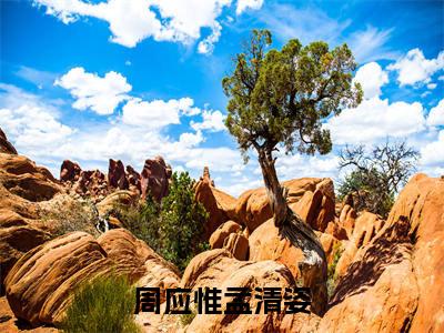 周应惟孟清姿小说全文-周应惟孟清姿小说免费阅读大结局