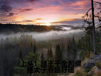 盛蓝音谢宴辞小说免费阅读无弹窗大结局，上头！赌王千金和儒雅太子爷超好磕最新章节列表