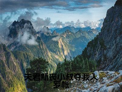 小说夫君新丧小叔夺我入罗帐全文阅读无弹窗大结局_（江琯清叶寒峥）夫君新丧小叔夺我入罗帐最新章节列表_笔趣阁