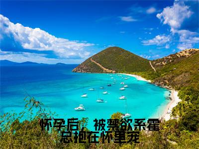怀孕后，被禁欲系霍总抱在怀里宠（霍见深宋西棠）全文免费阅读无弹窗大结局_怀孕后，被禁欲系霍总抱在怀里宠在线阅读笔趣阁（霍见深宋西棠）