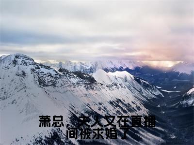萧总，夫人又在直播间被求婚了（萧云霆叶澜）小说全文免费阅读无弹窗-萧总，夫人又在直播间被求婚了小说全文免费阅读大结局笔趣阁