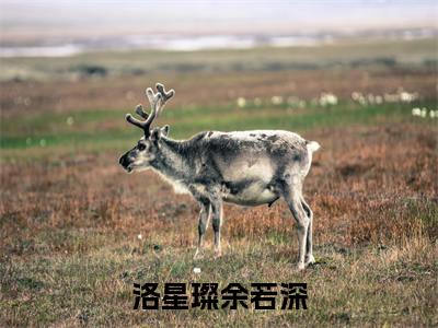 洛星璨余若深（洛星璨余若深）最新章节在线阅读-洛星璨余若深小说洛星璨余若深在哪里可以看