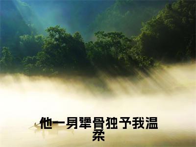 他一身犟骨独予我温柔（沈如周骋）全文免费阅读无弹窗_他一身犟骨独予我温柔完整版最新阅读_笔趣阁（沈如周骋）