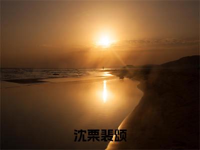 沈栗裴颂（沈栗裴颂）全文免费阅读无弹窗大结局_沈栗裴颂最新章节列表（沈栗裴颂）