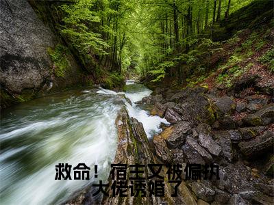 新书热荐救命！宿主又被偏执大佬诱婚了全文免费阅读无弹窗大结局-小说扶桑茶茶全文完整版免费阅读