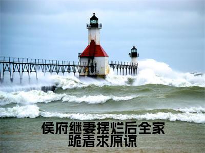 侯府继妻摆烂后全家跪着求原谅（太叔瑱谢婉瑜）小说全文免费读无弹窗大结局_侯府继妻摆烂后全家跪着求原谅小说章节试读最新章节列表笔趣阁