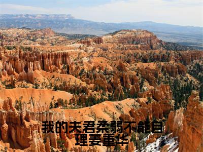 我的夫君柔弱不能自理姜重华（月般般姜重华）全文免费阅读_我的夫君柔弱不能自理姜重华最新章节列表言情小说在线阅读