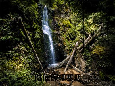 陆庭琛柳寒烟（柳寒烟陆庭琛）全文免费阅读无弹窗大结局_陆庭琛柳寒烟在线阅读笔趣阁