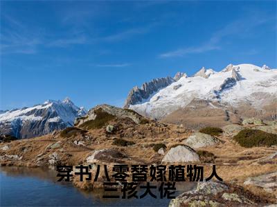 季青禾全文免费阅读大结局_穿书八零替嫁植物人三孩大佬已完结全集季青禾大结局小说