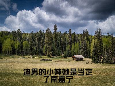 贺宥南嘉宁（渣男的小婶她是当定了南嘉宁）火热新书无弹窗大结局_（贺宥南嘉宁）渣男的小婶她是当定了南嘉宁最新章节列表_笔趣阁