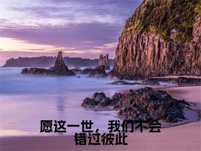 苏叶绾傅廷烨小说愿这一世，我们不会错过彼此全文免费阅读无弹窗-正版小说苏叶绾傅廷烨全文阅读
