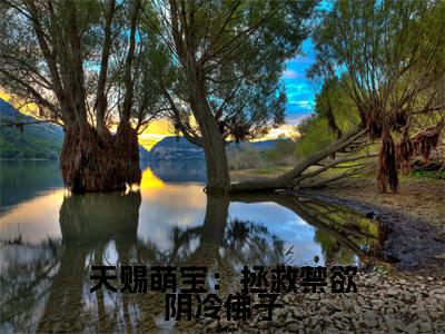 天赐萌宝：拯救禁欲阴冷佛子（ 唐礼南宫似华）全文免费阅读无弹窗大结局_天赐萌宝：拯救禁欲阴冷佛子全文完整无删减版免费阅读