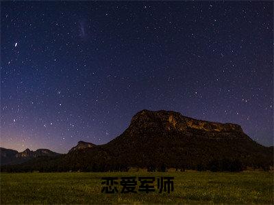 叶新晨（叶新晨）全文免费阅读无弹窗大结局_恋爱军师最新章节列表