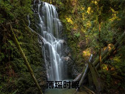 薄琛时眠（时眠薄琛）小说最新章节阅读-全网最新首发小说薄琛时眠（时眠薄琛）免费阅读全章节