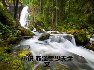 巅峰手速（ 苏泽黄少天）全文免费阅读-巅峰手速（ 苏泽黄少天）全章节完整版在线阅读