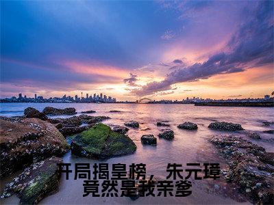 朱枟（开局揭皇榜，朱元璋竟然是我亲爹）在哪免费看-小说（朱枟）开局揭皇榜，朱元璋竟然是我亲爹全文完整版免费阅读
