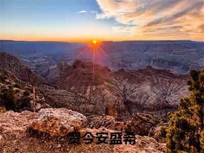 贺今安盛希小说最新试读_盛希贺今安小说名是（贺今安盛希）_笔趣阁