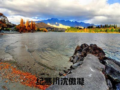 纪寒川沈傲凝小说（纪寒川沈傲凝）全文免费阅读无弹窗_（纪寒川沈傲凝）纪寒川沈傲凝最新章节列表