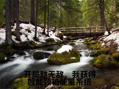 开局就无敌，我获得智能领袖能量系统新书热荐免费小说冯奕程-小说冯奕程大结局