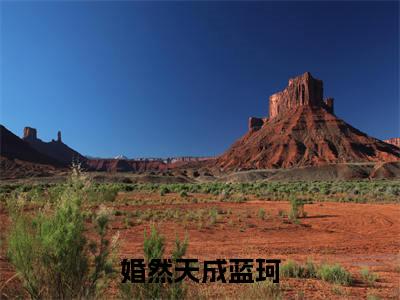 婚然天成蓝珂最新章节（蓝珂）全文免费阅读无弹窗大结局_蓝珂免费阅读