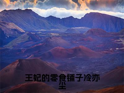 王妃的零食铺子冷亦尘（苏乐乐冷亦尘）无弹窗小说免费阅读_王妃的零食铺子冷亦尘最新章节免费阅读_笔趣阁