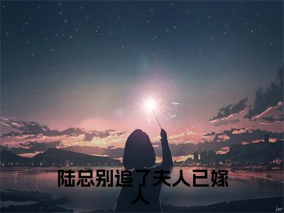 （陆景洐时念）全文免费阅读无弹窗大结局_陆总别追了夫人已嫁人 完整版最新阅读_笔趣阁（陆景洐时念）