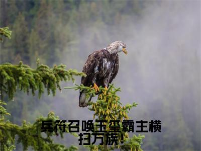 兵符召唤玉玺霸主横扫万族！全文免费在线阅读_（陆云凌雪免费阅读无弹窗）兵符召唤玉玺霸主横扫万族！全文免费完结版阅读