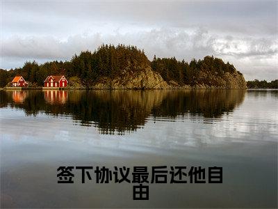 签下协议最后还他自由全文（顾凌霄苏轻婳免费小说-完整版-签下协议最后还他自由在线赏析）最新章节已更新版