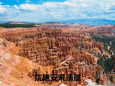 宋清蕴沈随安多人推荐-好看的小说沈随安宋清蕴完整版免费阅读