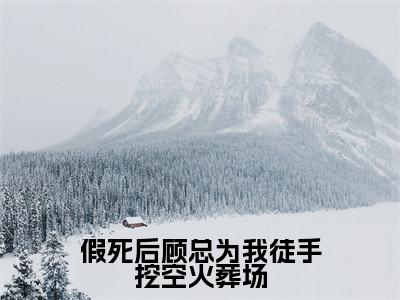 假死后顾总为我徒手挖空火葬场（顾景修苏菽）高质量小说顾景修苏菽推荐阅读-假死后顾总为我徒手挖空火葬场（顾景修苏菽）小说最新章节