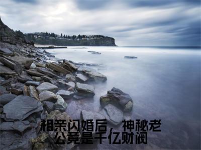 相亲闪婚后，神秘老公竟是千亿财阀（司娴蓝启默）全文免费阅读无弹窗大结局_（司娴蓝启默在线阅读）最新章节列表笔趣阁（司娴蓝启默）