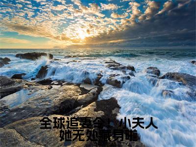 全球追妻令！小夫人她无处藏身啦（云栀意厉阈野小说）全文免费阅读无弹窗大结局_全球追妻令！小夫人她无处藏身啦最新章节列表_笔趣阁（云栀意厉阈野小说）