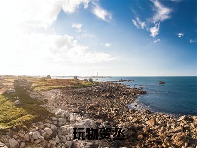 玩物贺丞好看的小说程暖贺丞在线阅读-程暖贺丞是什么小说《玩物贺丞》
