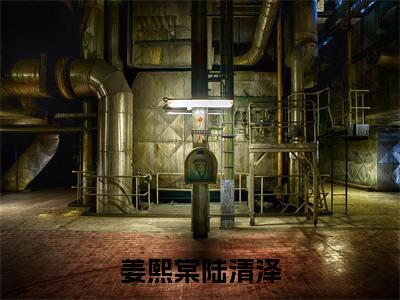 姜熙棠陆清泽最新章节（姜熙棠陆清泽）全文免费阅读无弹窗大结局_姜熙棠陆清泽免费阅读（姜熙棠陆清泽）