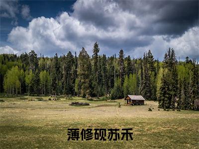 薄修砚苏禾（薄修砚苏禾）全文免费阅读无弹窗大结局_薄修砚苏禾最新章节列表_笔趣阁（薄修砚苏禾）