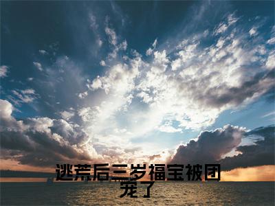 逃荒后三岁福宝被团宠了（叶晴天）免费阅读无弹窗大结局_逃荒后三岁福宝被团宠了小说（叶晴天）免费阅读最新章节列表