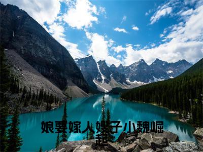 （全文）+（番外）魏淑清赵大虎小说免费阅读-娘要嫁人嫂子小魏崛起魏淑清赵大虎小说在哪里可以看