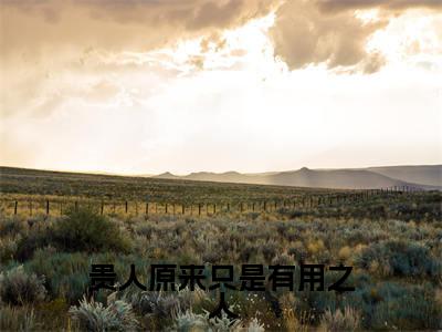 贵人原来只是有用之人免费小说（白璃卫长庚）全本免费阅读-贵人原来只是有用之人最新章节列表