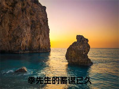 季先生的蓄谋已久（季宴礼方清芷）全文免费阅读无弹窗大结局_季先生的蓄谋已久_笔趣阁