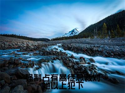 强制占有暴徒总裁对她以上犯下（徐晓薇）全文免费阅读_强制占有暴徒总裁对她以上犯下（徐晓薇）最新章节列表笔趣阁