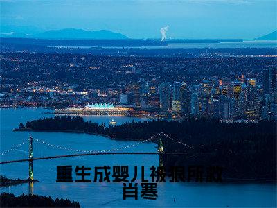 重生成婴儿被狼所救肖寒（苏月肖寒）爽文小说全文阅读-重生成婴儿被狼所救肖寒最新章节更新
