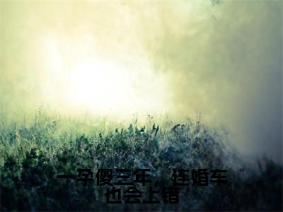 一孕傻三年，连婚车也会上错全文（盛誉时颖免费小说-完整版-一孕傻三年，连婚车也会上错在线赏析）最新章节已更新版