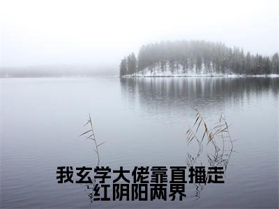 我玄学大佬靠直播走红阴阳两界小说（祝阑）全文免费阅读无弹窗大结局_（我玄学大佬靠直播走红阴阳两界）祝阑小说最新章节列表