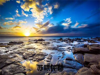 苏眠钟赫（钟赫苏眠）全文免费阅读无弹窗_苏眠钟赫（钟赫苏眠小说完整版）最新章节列表